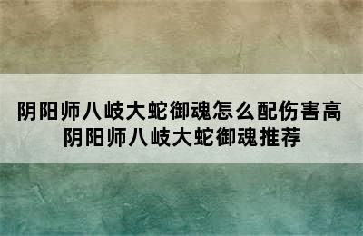 阴阳师八岐大蛇御魂怎么配伤害高 阴阳师八岐大蛇御魂推荐